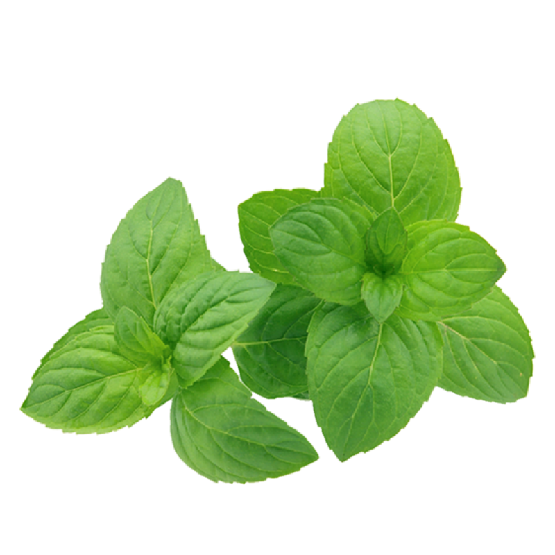 Courgettes vertes à la menthe – Image 2