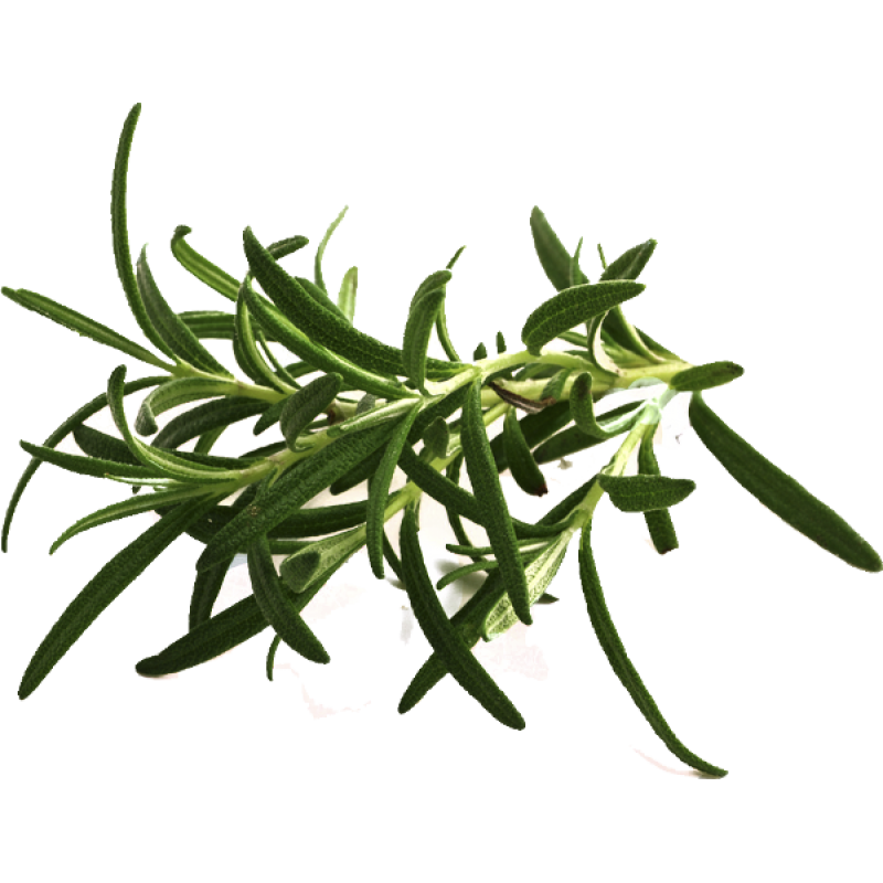Courgettes vertes au romarin – Image 2